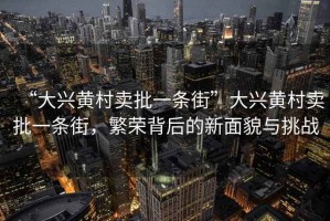 “大興黃村賣批一條街”大興黃村賣批一條街，繁榮背后的新面貌與挑戰(zhàn)