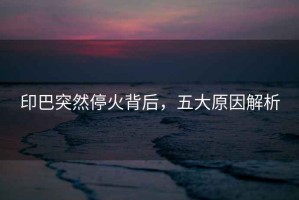 印巴突然?；鸨澈螅宕笤蚪馕? title=