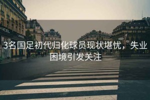 3名國足初代歸化球員現狀堪憂，失業困境引發關注