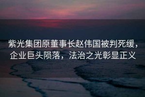 紫光集團(tuán)原董事長趙偉國被判死緩，企業(yè)巨頭隕落，法治之光彰顯正義