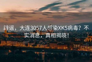 辟謠，大連3057人感染XK5病毒？不實消息，真相揭曉！