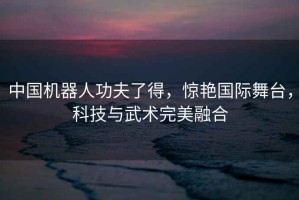 中國機器人功夫了得，驚艷國際舞臺，科技與武術完美融合