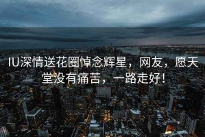 IU深情送花圈悼念輝星，網(wǎng)友，愿天堂沒有痛苦，一路走好！