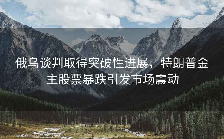 俄烏談判取得突破性進展，特朗普金主股票暴跌引發市場震動