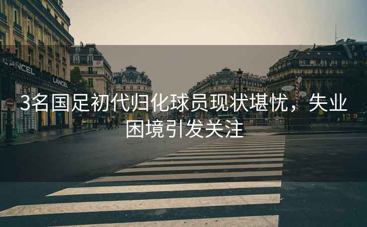 3名國(guó)足初代歸化球員現(xiàn)狀堪憂，失業(yè)困境引發(fā)關(guān)注
