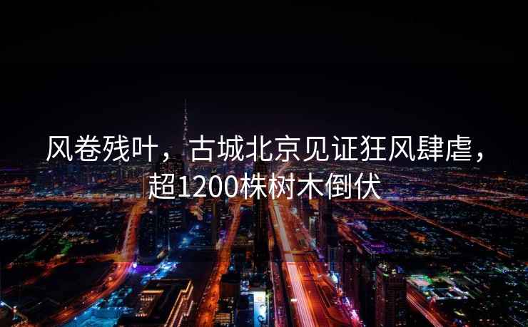風卷殘葉，古城北京見證狂風肆虐，超1200株樹木倒伏