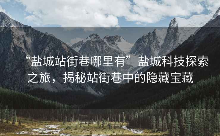 “鹽城站街巷哪里有”鹽城科技探索之旅，揭秘站街巷中的隱藏寶藏