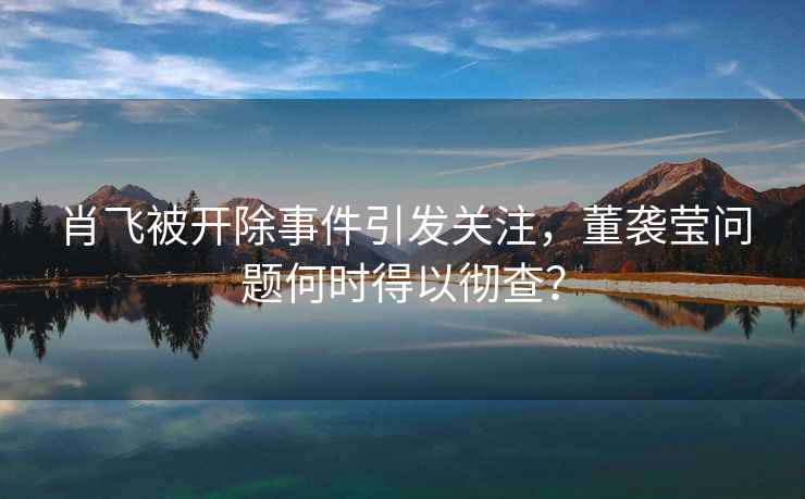 肖飛被開除事件引發關注，董襲瑩問題何時得以徹查？