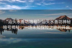 “汕頭水善坊暗號(hào)”汕頭水善坊神秘暗號(hào)揭秘，一場(chǎng)未知探險(xiǎn)之旅的開(kāi)啟