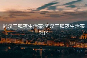 武漢三鎮(zhèn)夜生活茶:武漢三鎮(zhèn)夜生活茶社區(qū)