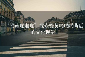 “騷黃啪啪啪”探索騷黃啪啪啪背后的文化現象
