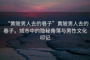 “黃陂男人去的巷子”黃陂男人去的巷子，城市中的隱秘角落與男性文化印記