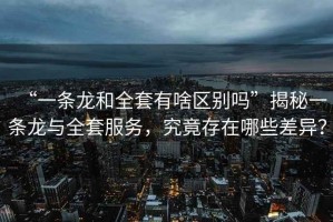 “一條龍和全套有啥區別嗎”揭秘一條龍與全套服務，究竟存在哪些差異？