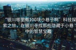 “銀川哪里有100塊小巷子啊”科技探索之旅，在銀川尋找那些隱藏于小巷中的智慧寶藏