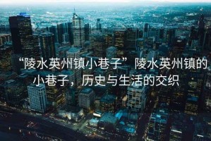 “陵水英州鎮小巷子”陵水英州鎮的小巷子，歷史與生活的交織