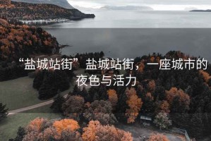 “鹽城站街”鹽城站街，一座城市的夜色與活力