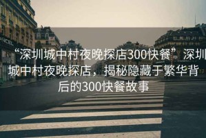 “深圳城中村夜晚探店300快餐”深圳城中村夜晚探店，揭秘隱藏于繁華背后的300快餐故事