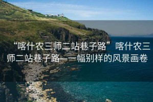 “喀什農三師二站巷子路”喀什農三師二站巷子路—一幅別樣的風景畫卷