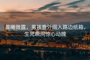 晨曦微露，男孩意外闖入路邊紙箱，生死瞬間驚心動魄
