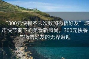 “300元快餐不限次數加微信好友”城市快節奏下的美食新風尚，300元快餐與微信好友的無界邂逅