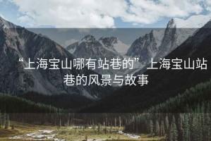 “上海寶山哪有站巷的”上海寶山站巷的風(fēng)景與故事