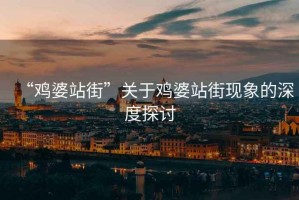 “雞婆站街”關于雞婆站街現象的深度探討