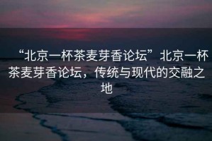 “北京一杯茶麥芽香論壇”北京一杯茶麥芽香論壇，傳統與現代的交融之地