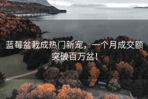 藍莓盆栽成熱門新寵，一個月成交額突破百萬盆！