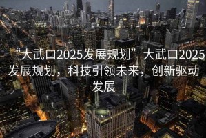 “大武口2025發展規劃”大武口2025發展規劃，科技引領未來，創新驅動發展