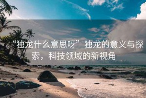 “獨龍什么意思呀”獨龍的意義與探索，科技領域的新視角