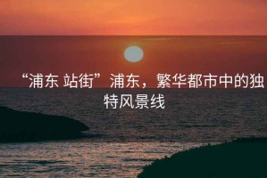 “浦東 站街”浦東，繁華都市中的獨特風景線