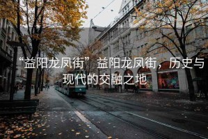“益陽龍鳳街”益陽龍鳳街，歷史與現代的交融之地