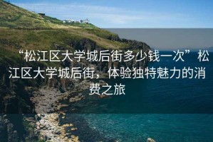“松江區大學城后街多少錢一次”松江區大學城后街，體驗獨特魅力的消費之旅
