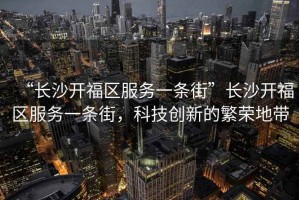 “長沙開福區服務一條街”長沙開福區服務一條街，科技創新的繁榮地帶