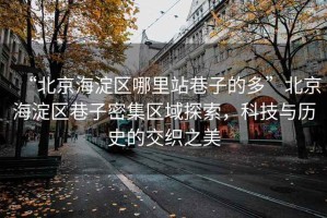 “北京海淀區哪里站巷子的多”北京海淀區巷子密集區域探索，科技與歷史的交織之美