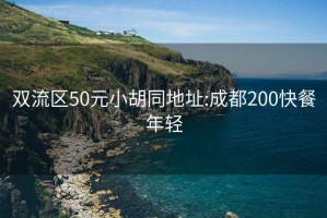 雙流區50元小胡同地址:成都200快餐年輕