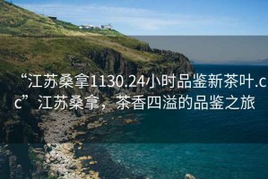 “江蘇桑拿1130.24小時品鑒新茶葉.cc”江蘇桑拿，茶香四溢的品鑒之旅