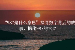“987是什么意思”探尋數字背后的故事，揭秘987的含義