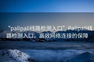 “palipali線路檢測入口”Palipali線路檢測入口，高效網絡連接的保障