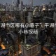 “平湖市區哪有小巷子”平湖市區的小巷探秘