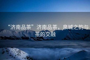 “濟南品茶”濟南品茶，泉城之韻與茶的交融
