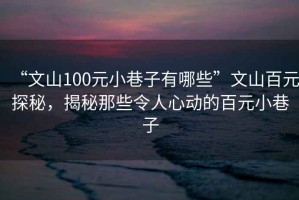 “文山100元小巷子有哪些”文山百元探秘，揭秘那些令人心動的百元小巷子