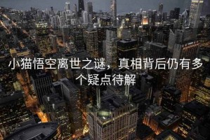 小貓悟空離世之謎，真相背后仍有多個疑點待解