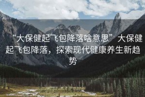 “大保健起飛包降落啥意思”大保健起飛包降落，探索現(xiàn)代健康養(yǎng)生新趨勢