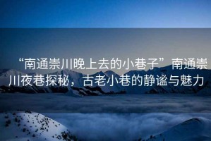 “南通崇川晚上去的小巷子”南通崇川夜巷探秘，古老小巷的靜謐與魅力