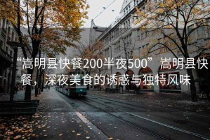 “嵩明縣快餐200半夜500”嵩明縣快餐，深夜美食的誘惑與獨特風味