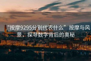 “按摩9295分別代表什么”按摩與風景，探尋數字背后的奧秘