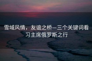 雪域風情，友誼之橋—三個關鍵詞看習主席俄羅斯之行