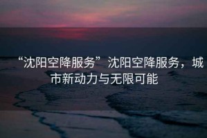 “沈陽空降服務”沈陽空降服務，城市新動力與無限可能