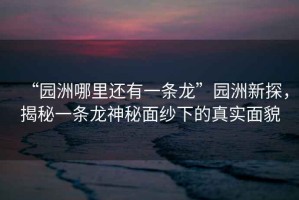 “園洲哪里還有一條龍”園洲新探，揭秘一條龍神秘面紗下的真實面貌